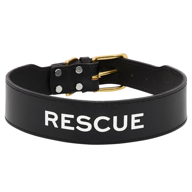 Leather Dog Collar - RESCUE