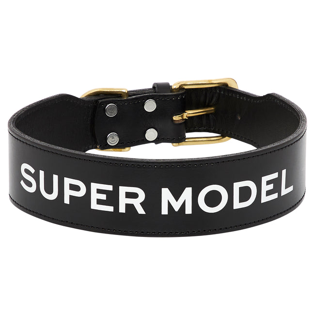 Leather Dog Collar - SUPER MODEL