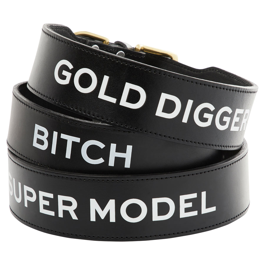 Leather Dog Collar - SUPER MODEL