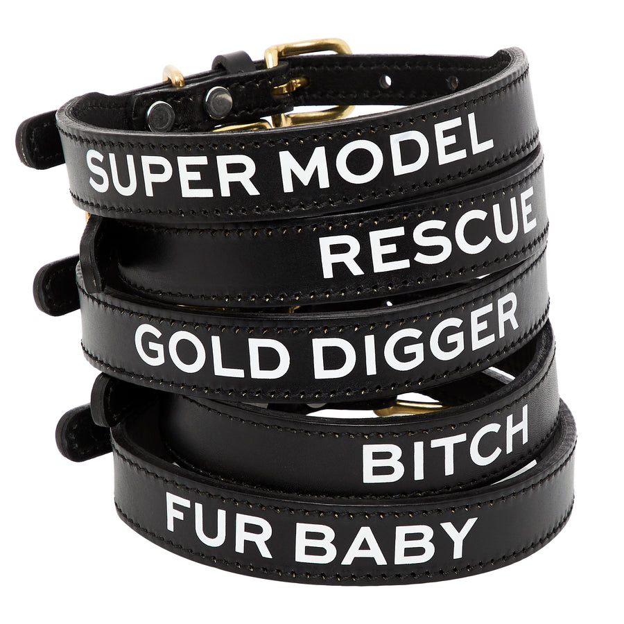 Leather Dog Collar - RESCUE