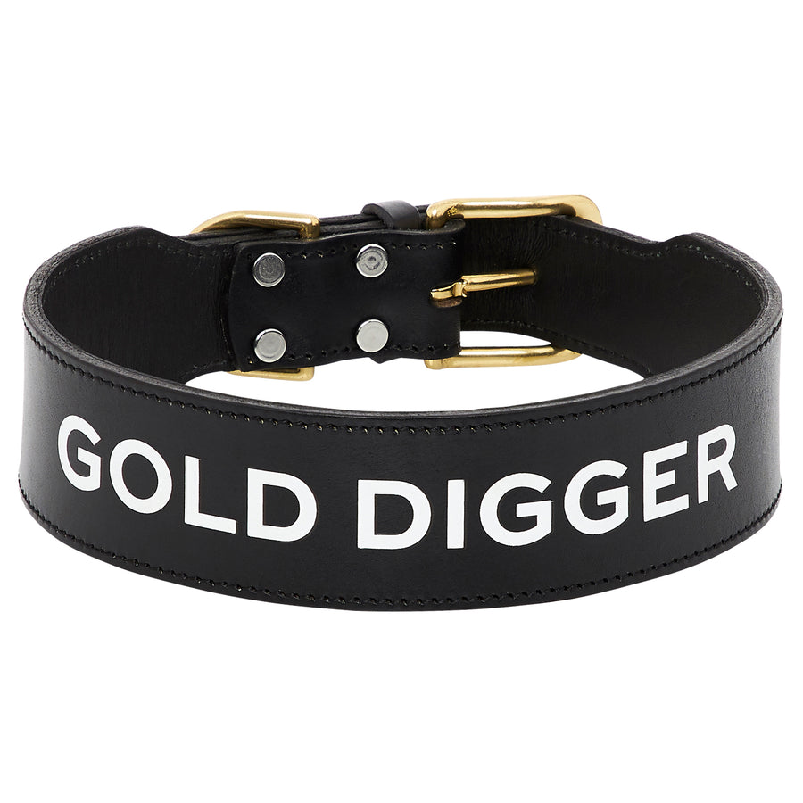Leather Dog Collar - GOLD DIGGER