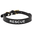 Leather Dog Collar - RESCUE