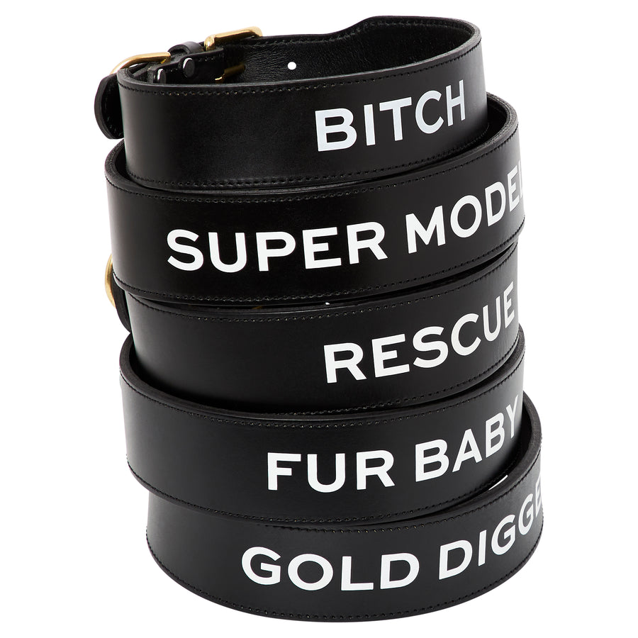 Leather Dog Collar - GOLD DIGGER